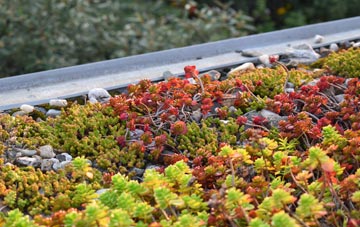 the cost of Blaby green roof installation