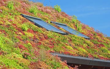 Blaby living roof systems